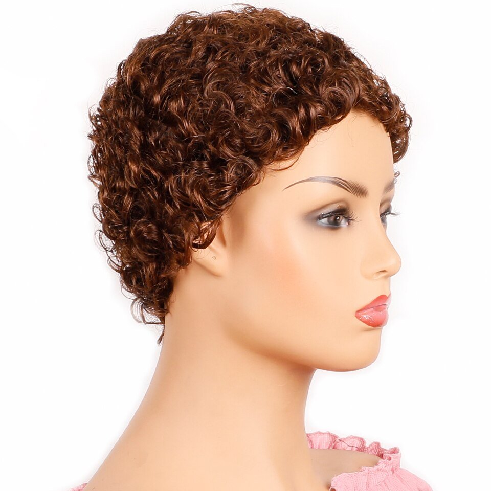 Short Curly Brazillian Hair Wig