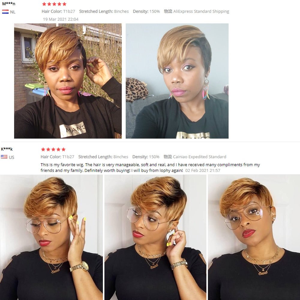 Short Ombre Pixie  Wig
